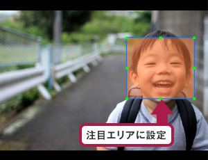 注目エリア設定の例